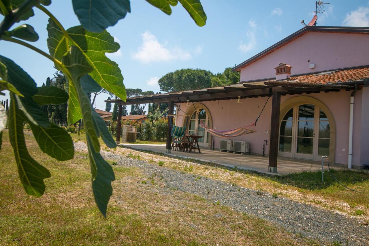 Fattoria Palazzeta - Pet & Family Friendly Aparthotel Cecina  Exterior photo